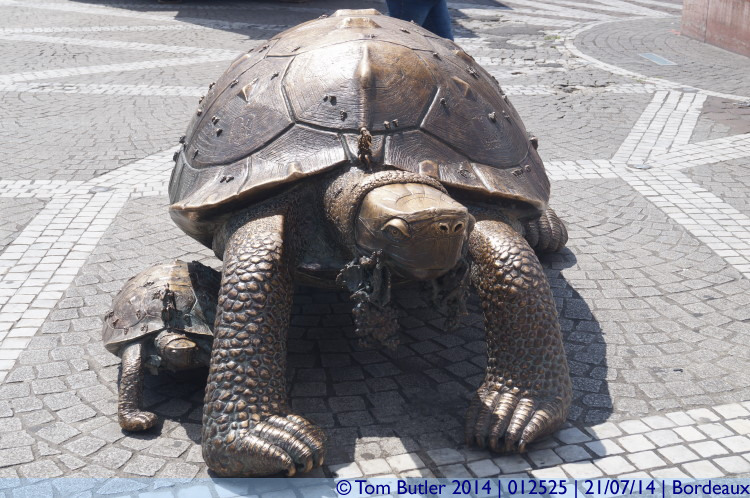 Photo ID: 012525, Turtles, Bordeaux, France