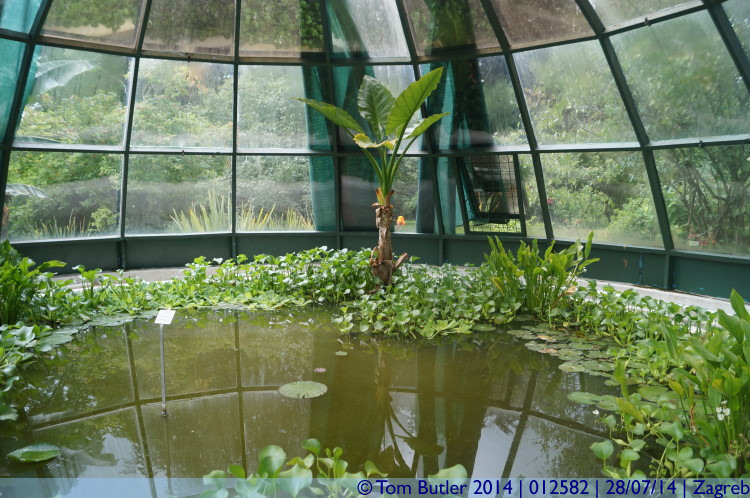 Photo ID: 012582, In the lily house, Zagreb, Croatia