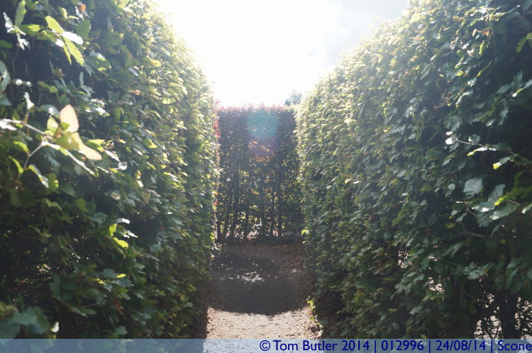 Photo ID: 012996, Entering the maze, Scone, Scotland