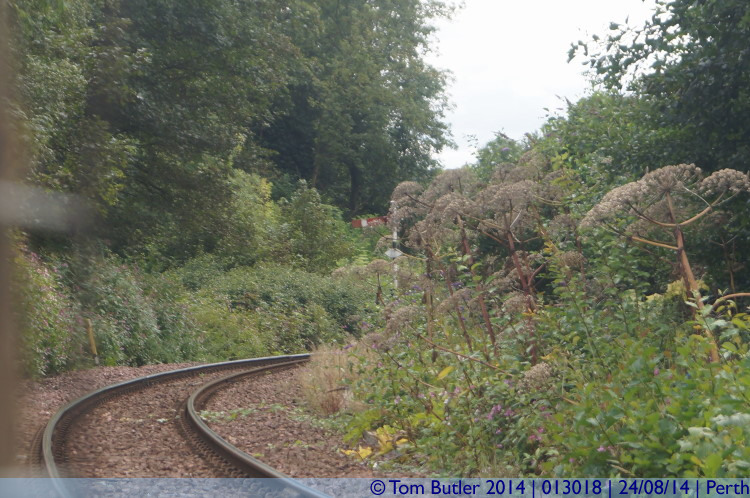 Photo ID: 013018, Railway line heads towards Dundee, Perth, Scotland