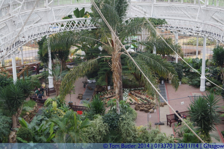 Photo ID: 013370, Palm trees in Glasgow, Glasgow, Scotland