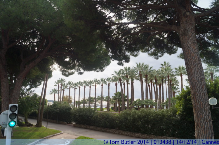 Photo ID: 013438, The Palms of Palm Beach, Cannes, France