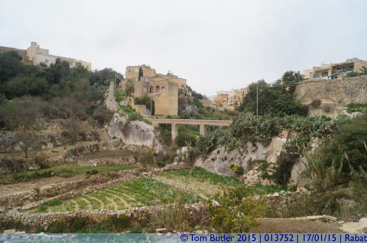 Photo ID: 013752, Lunzjata Valley, Rabat, Malta