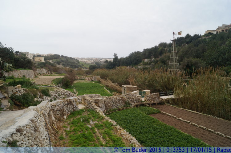 Photo ID: 013753, Looking down the valley, Rabat, Malta