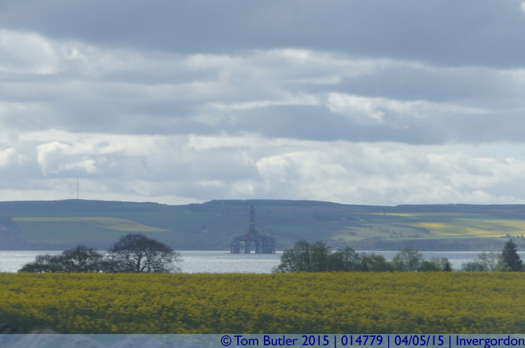 Photo ID: 014779, Oil rigs in the Cromarty Firth, Invergordon, Scotland