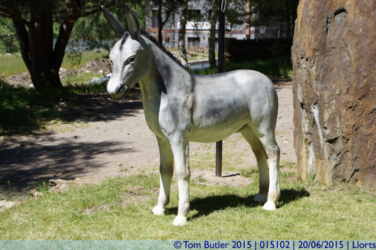 Photo ID: 015102, Mine donkey, Llorts, Andorra