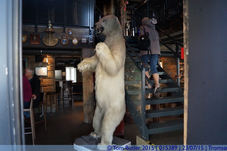 Photo ID: 015389, Scary bouncer, Troms, Norway