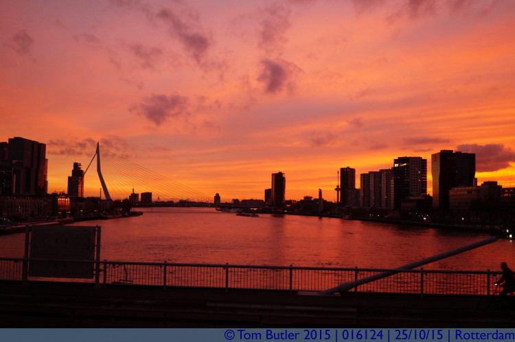 Photo ID: 016124, Last of the days sun, Rotterdam, Netherlands