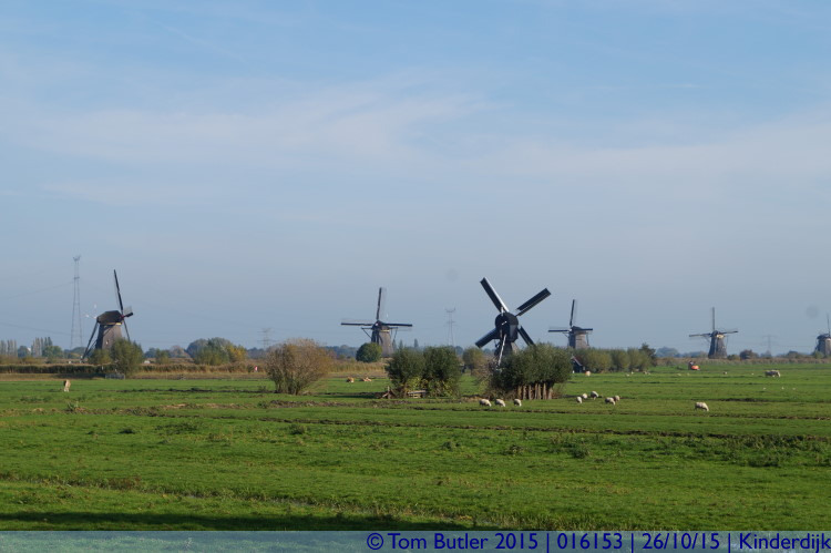 Photo ID: 016153, View across the fields, Kinderdijk, Netherlands