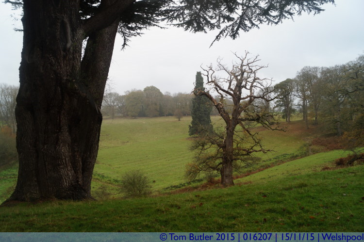 Photo ID: 016207, Looking across the estate, Welshpool, Wales