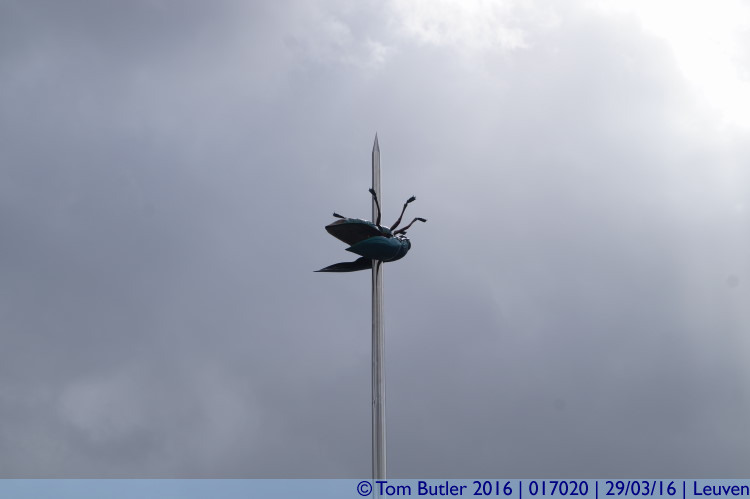 Photo ID: 017020, Bug on a needle, Leuven, Belgium