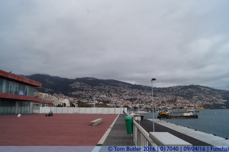 Photo ID: 017040, View from the harbour, Funchal, Portugal