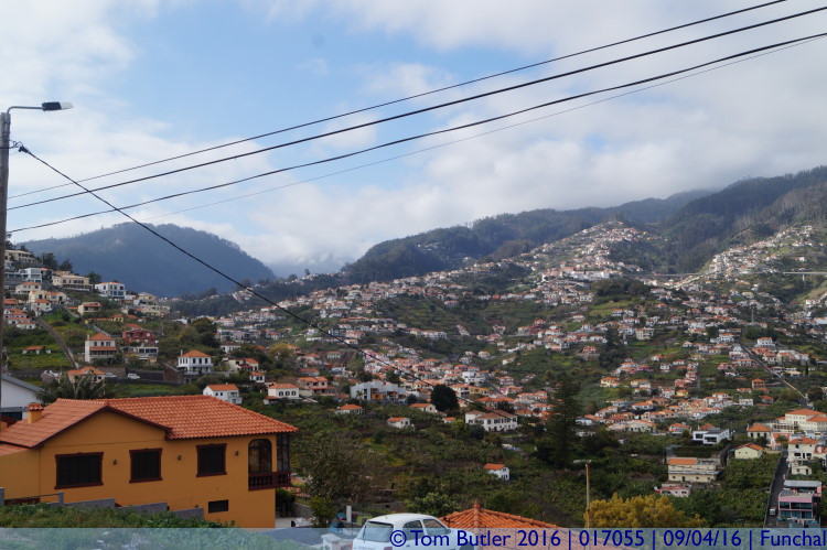 Photo ID: 017055, View from the Pico dos Barcelos, Funchal, Portugal