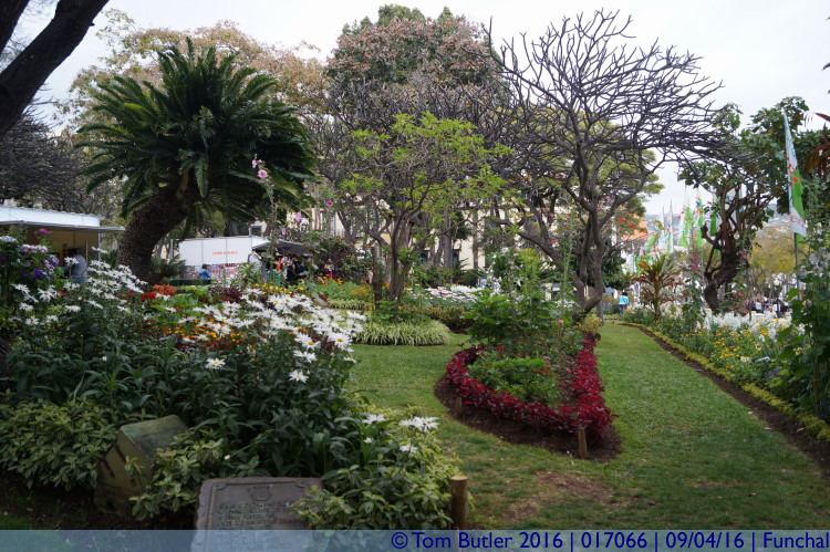 Photo ID: 017066, In the Municipal Gardens, Funchal, Portugal