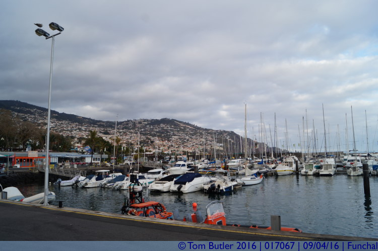 Photo ID: 017067, Harbour, Funchal, Portugal