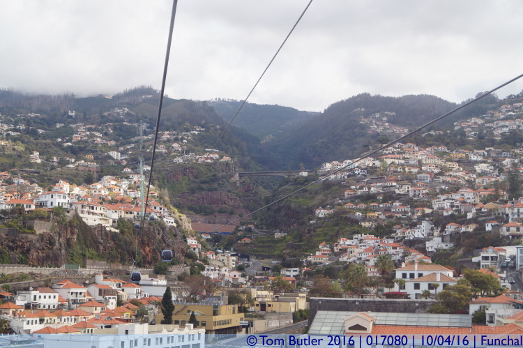 Photo ID: 017080, Climbing through Funchal, Funchal, Portugal