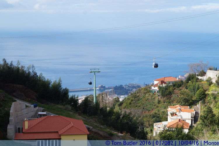 Photo ID: 017082, Cable Cars, Monte, Portugal