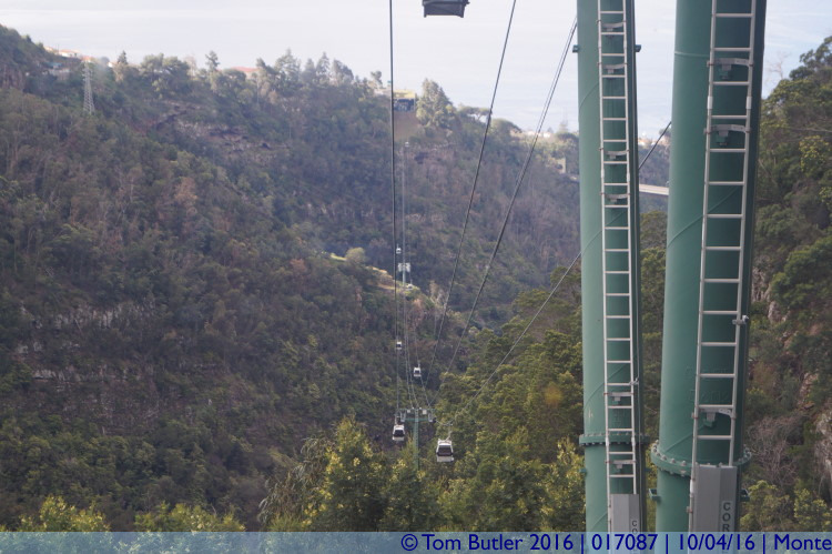 Photo ID: 017087, On the Botanical Cable Car, Monte, Portugal