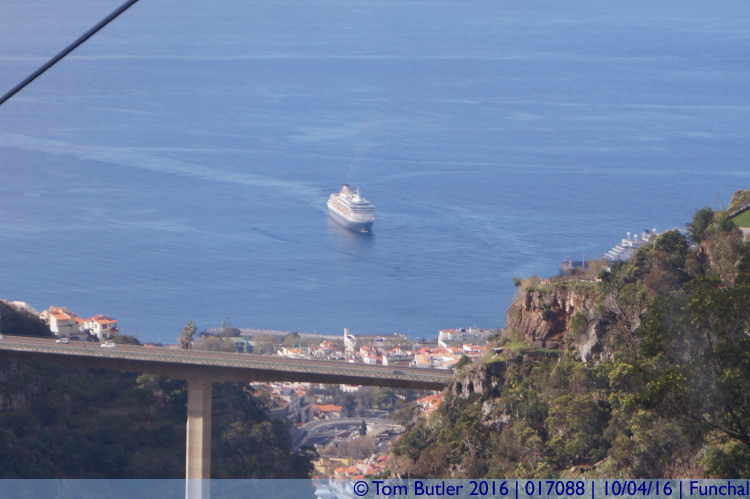 Photo ID: 017088, Another delivery of tourists, Funchal, Portugal