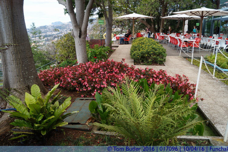 Photo ID: 017096, Picturesque Caf, Funchal, Portugal