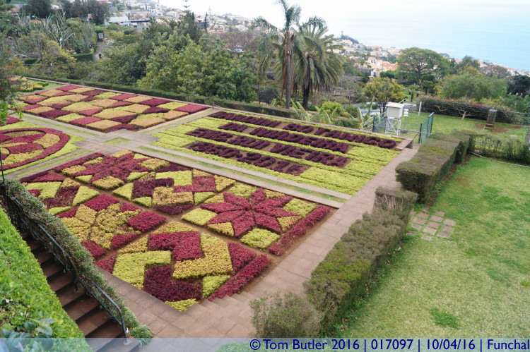 Photo ID: 017097, Carpet Gardens, Funchal, Portugal