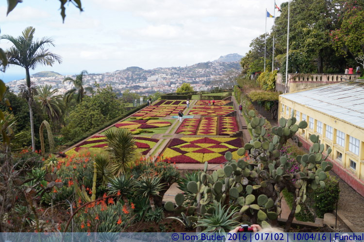 Photo ID: 017102, Cacti and carpets, Funchal, Portugal