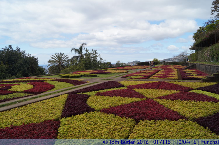 Photo ID: 017115, Carpet planting, Funchal, Portugal