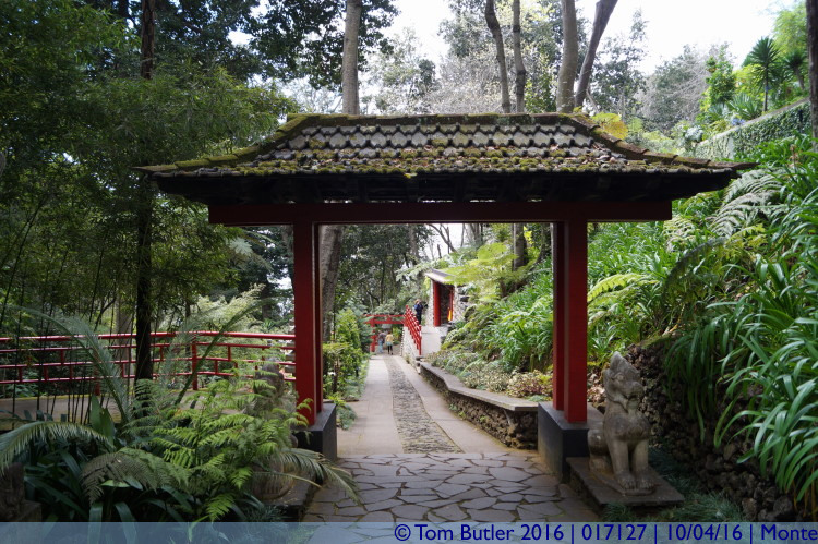 Photo ID: 017127, Japanese Gardens, Monte, Portugal