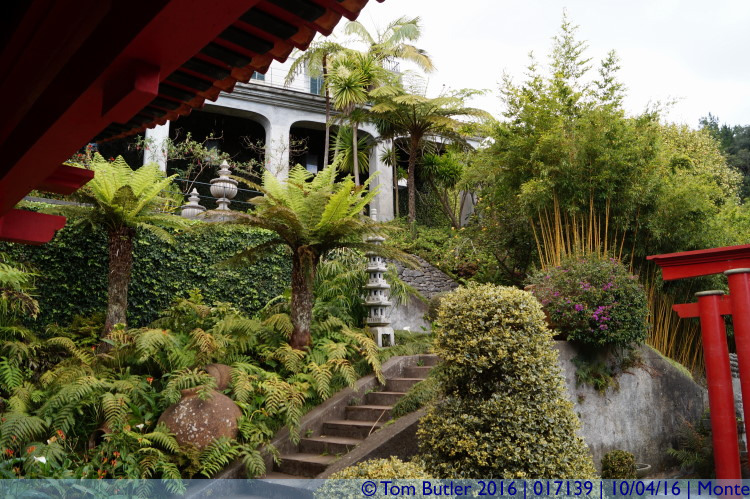 Photo ID: 017139, Japanese Gardens, Monte, Portugal