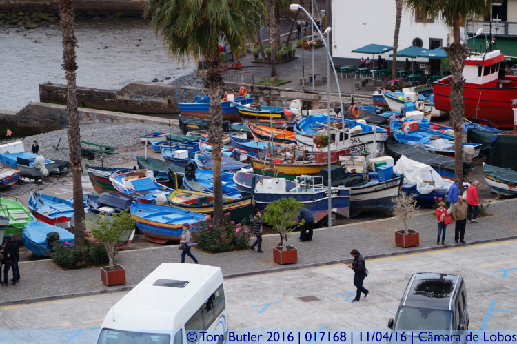 Photo ID: 017168, Harbour, Cmara de Lobos, Portugal