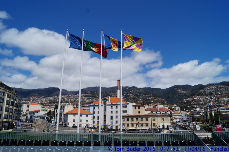 Photo ID: 017192, Europe Portugal Madeira Funchal, Funchal, Portugal