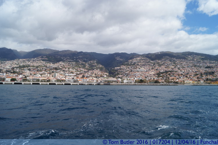 Photo ID: 017204, Funchal, Funchal, Portugal