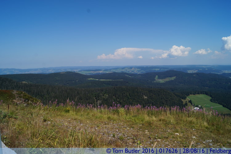 Photo ID: 017626, View from the summit, Feldberg, Germany