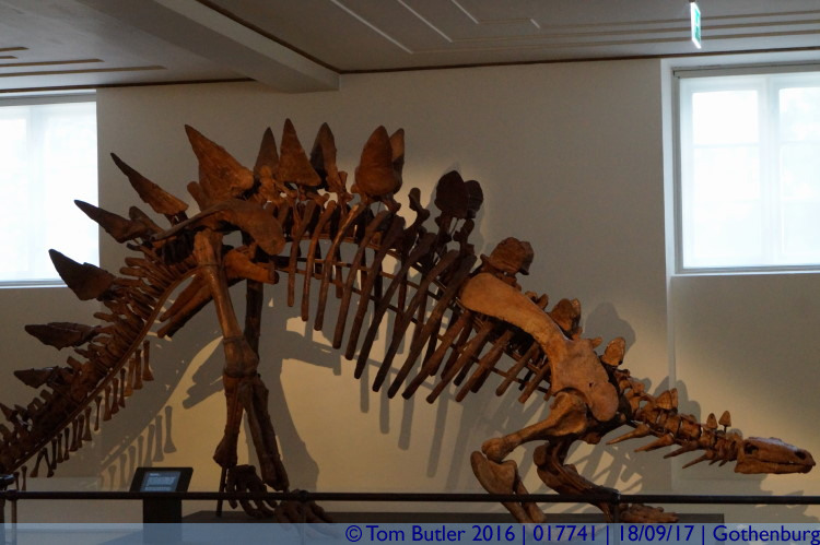 Photo ID: 017741, Stegosaurus, Gothenburg, Sweden