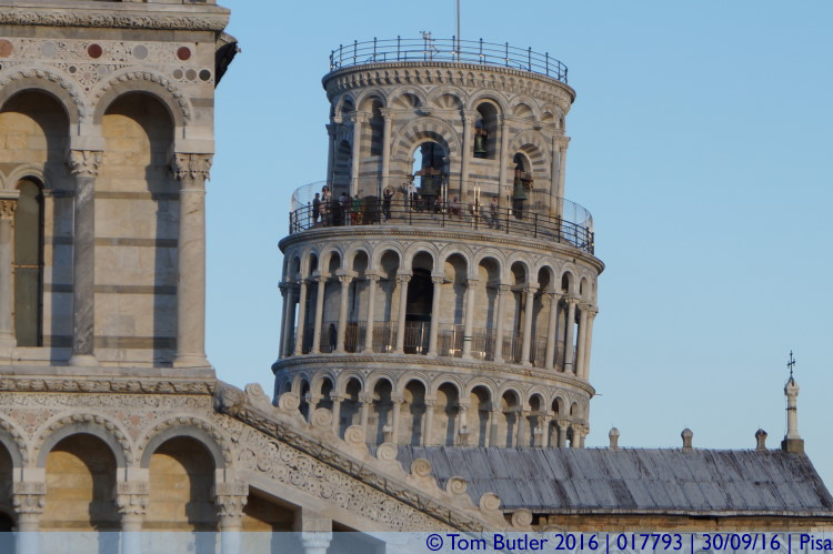 Photo ID: 017793, Banana curve of the tower, Pisa, Italy