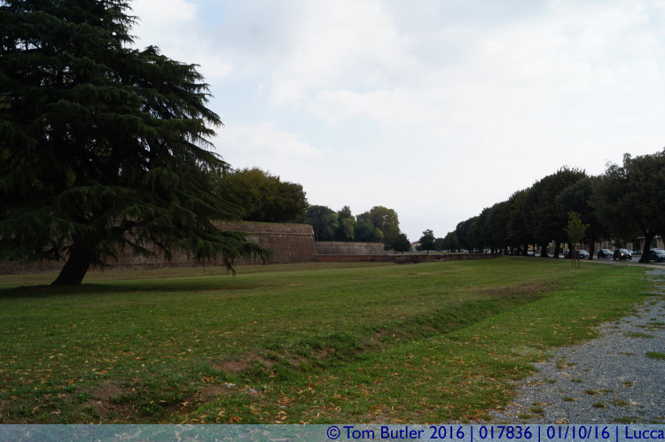 Photo ID: 017836, The city walls, Lucca, Italy