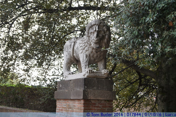 Photo ID: 017844, Full lion, Lucca, Italy
