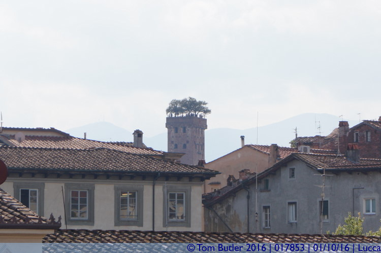 Photo ID: 017853, Trees on a tower?, Lucca, Italy