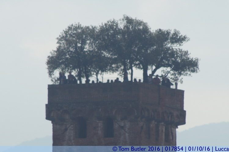 Photo ID: 017854, Yes, Trees on tower roof, Lucca, Italy