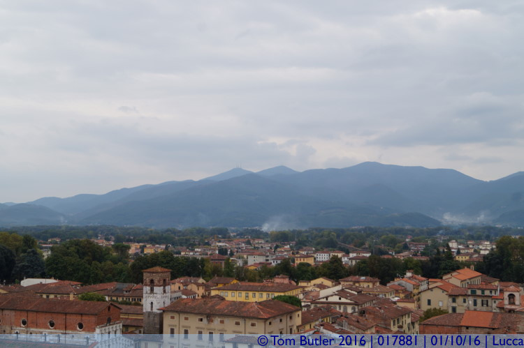 Photo ID: 017881, View from the tower, Lucca, Italy