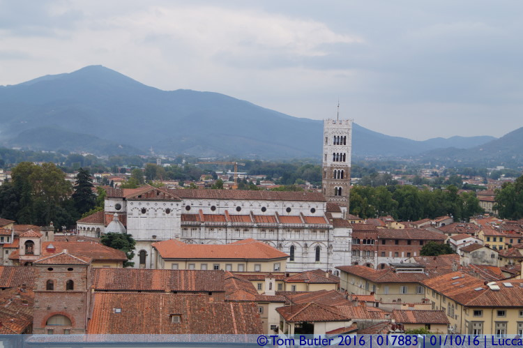 Photo ID: 017883, Duomo di San Martino, Lucca, Italy