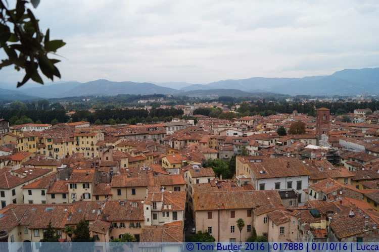 Photo ID: 017888, View over Lucca, Lucca, Italy
