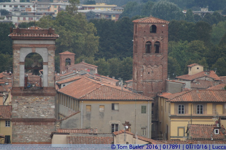 Photo ID: 017891, Towers, Lucca, Italy