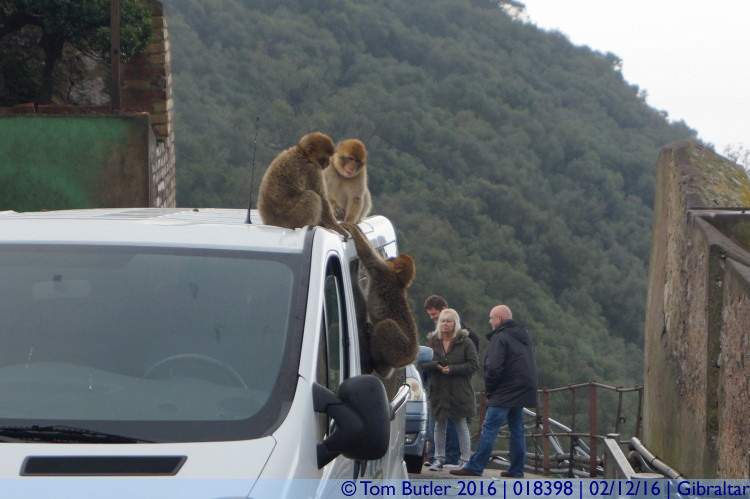 Photo ID: 018398, Taxi climbing frame, Gibraltar, Gibraltar