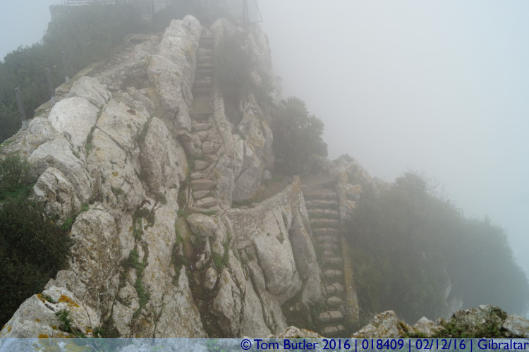 Photo ID: 018409, The Mediterranean Steps, Gibraltar, Gibraltar