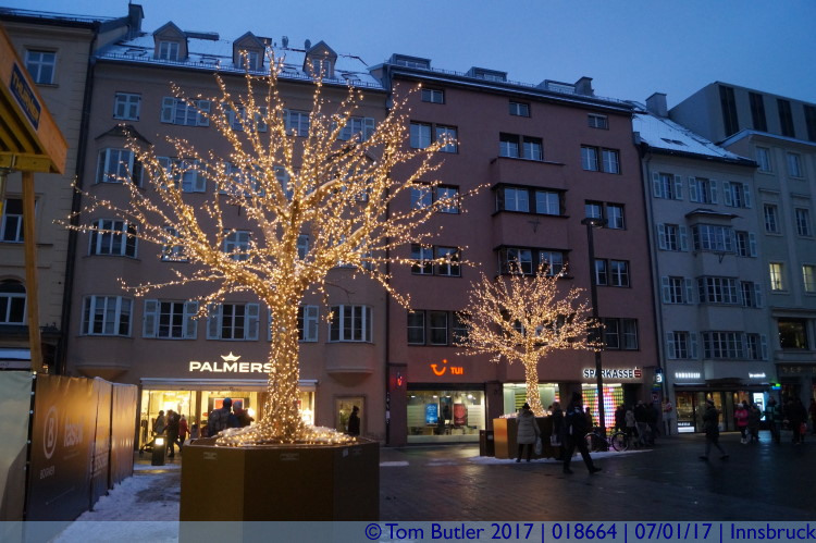 Photo ID: 018664, Christmassy trees, Innsbruck, Austria