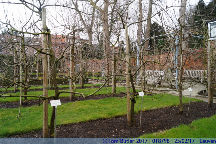 Photo ID: 018798, Orchard, Leuven, Belgium