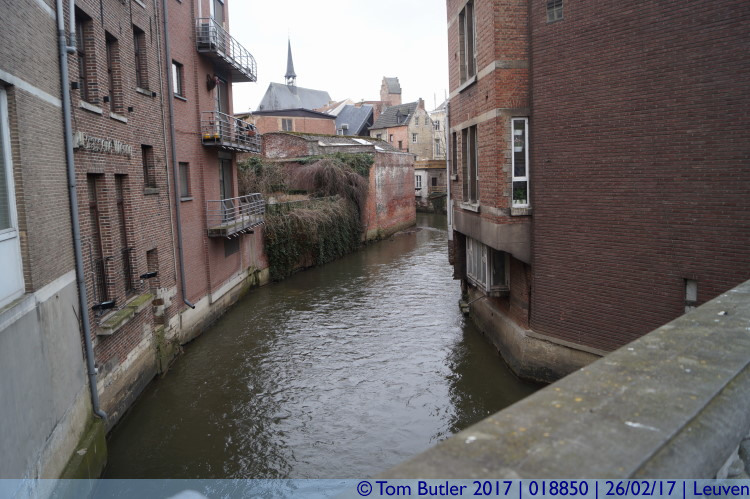 Photo ID: 018850, River Dijle, Leuven, Belgium