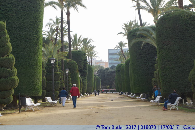 Photo ID: 018873, Tree lined paths, Cadiz, Spain