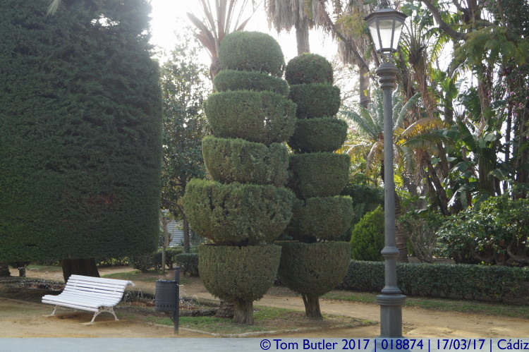 Photo ID: 018874, Topiary, Cadiz, Spain